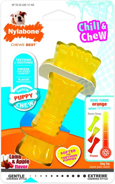 Nylabone Puppy Chew Freezer Lamb & Apple Flavored Puppy Chew Toy, Mini slide 1 of 12