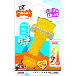 Nylabone Puppy Chew Freezer Dog Toy Teething Chew Chilling Cloth Lamb & Apple, Small 