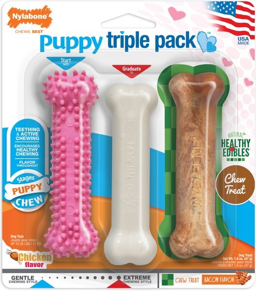 Nylabone Puppy Chew Variety Toy & Treat Triple Pack, Small/Regular,3 Count slide 1 of 11