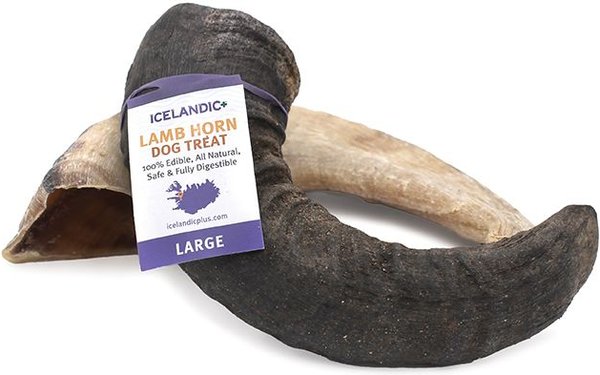 Icelandic+ Lamb Horn Large Dog Chew, 6.5-in slide 1 of 3