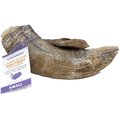 Icelandic+ Lamb Horn with Marrow Dog Chew, 4-in, Small