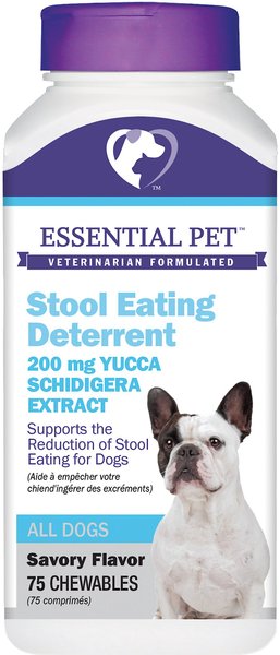 21ST CENTURY ESSENTIAL PET Coprophagia Deterrence Dog Supplement 75 count Chewy