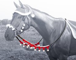 Tough1 Two Piece Santa Horse Rein Covers