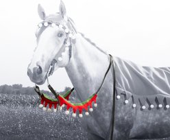 Tough1 Two Piece Elf Horse Rein Covers