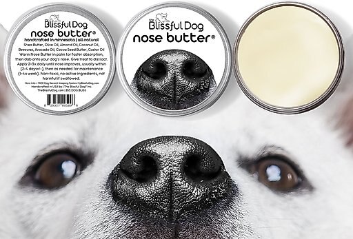 The Blissful Dog Every Dog Nose Butter, 2-oz tin