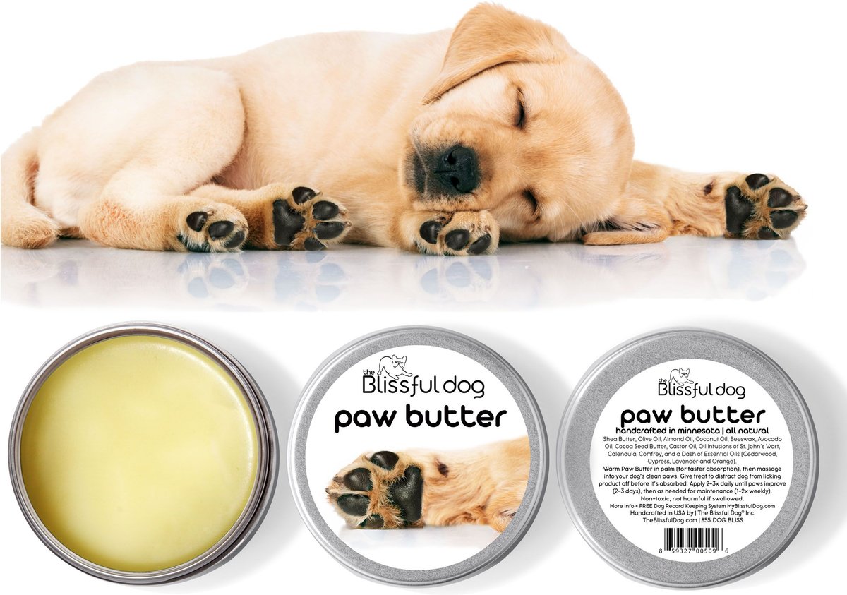 The Blissful Dog Butter Dog Paw Balm