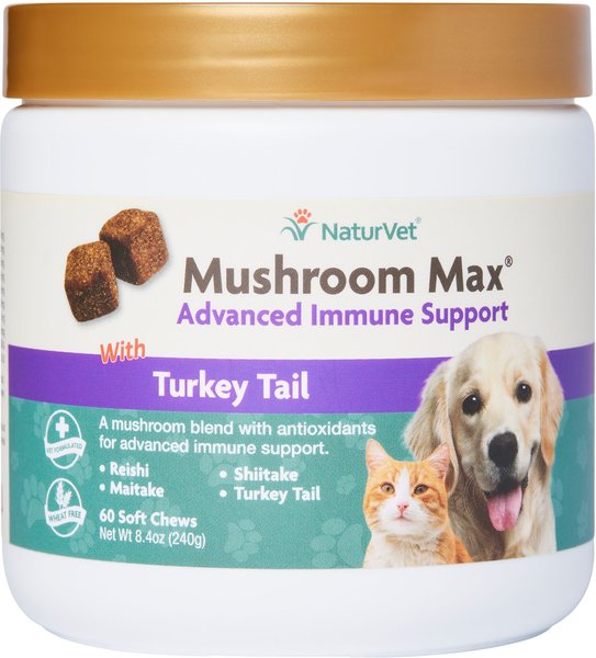 Turkey tail hotsell dosage for dogs