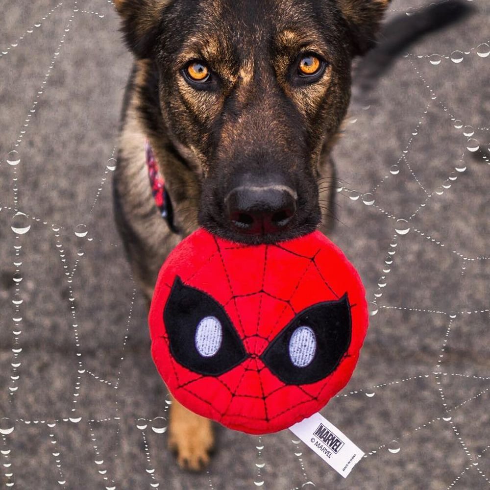 Buckle-Down Spider-Man Rope Dog Toy
