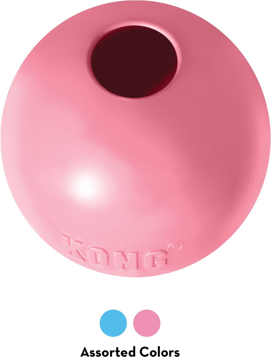 KONG Stuffable Puppy Ball Dog Toy, Color Varies, Medium/Large