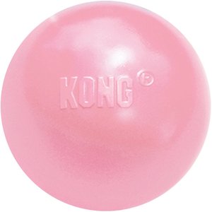 Kong - Ball with Hole - Durable Rubber, Fetch Toy Small