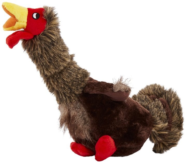 chewy turkey toy