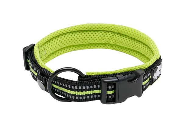Fable Pets harness launch: Shop comfortable dog harnesses today - Reviewed