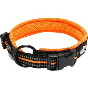 Chai's Choice Comfort Cushion 3M Polyester Reflective Dog Collar, Orange, Small: 13.8 to 15.7-in neck, 4/5-in wide