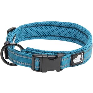 Chai's Choice Comfort Cushion 3M Polyester Reflective Dog Collar, Teal Blue, XX-Large: 21.7 to 23.6-in neck, 1-in wide