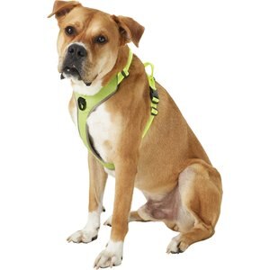 Chai's Choice Outdoor Explorer No-Pull 3M Polyester Reflective Dual Clip Dog Harness, Neon Yellow, Large: 27 to 32.5-in chest