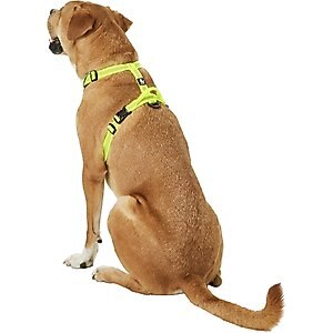 Chai's Choice Outdoor Explorer No-Pull 3M Polyester Reflective Dual Clip Dog Harness, Neon Yellow, Large: 27 to 32.5-in chest