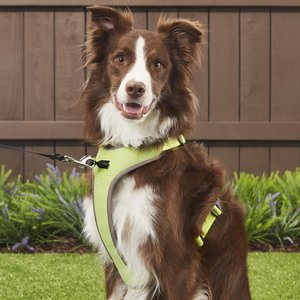 Chai's Choice Outdoor Explorer No-Pull 3M Polyester Reflective Dual Clip Dog Harness, Neon Yellow, Large: 27 to 32.5-in chest