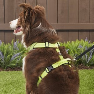 Chai's Choice Outdoor Explorer No-Pull 3M Polyester Reflective Dual Clip Dog Harness, Neon Yellow, Large: 27 to 32.5-in chest