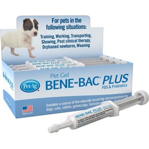 PetAg Bene-Bac Plus Gel Digestive Supplement for Dogs, Cats & Small Pets, 12 count