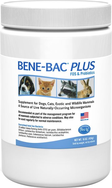 PetAg Bene-Bac Plus Powder Digestive Supplement for Dogs, Cats & Small Pets, 16-oz slide 1 of 1