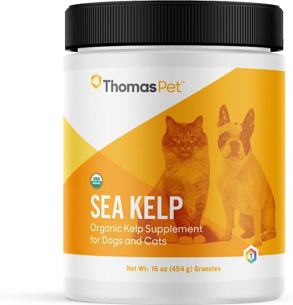 kelp powder for dogs