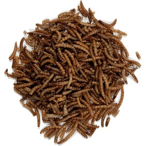 Wagner's Mealworms Wild Bird Food, 18-oz bag