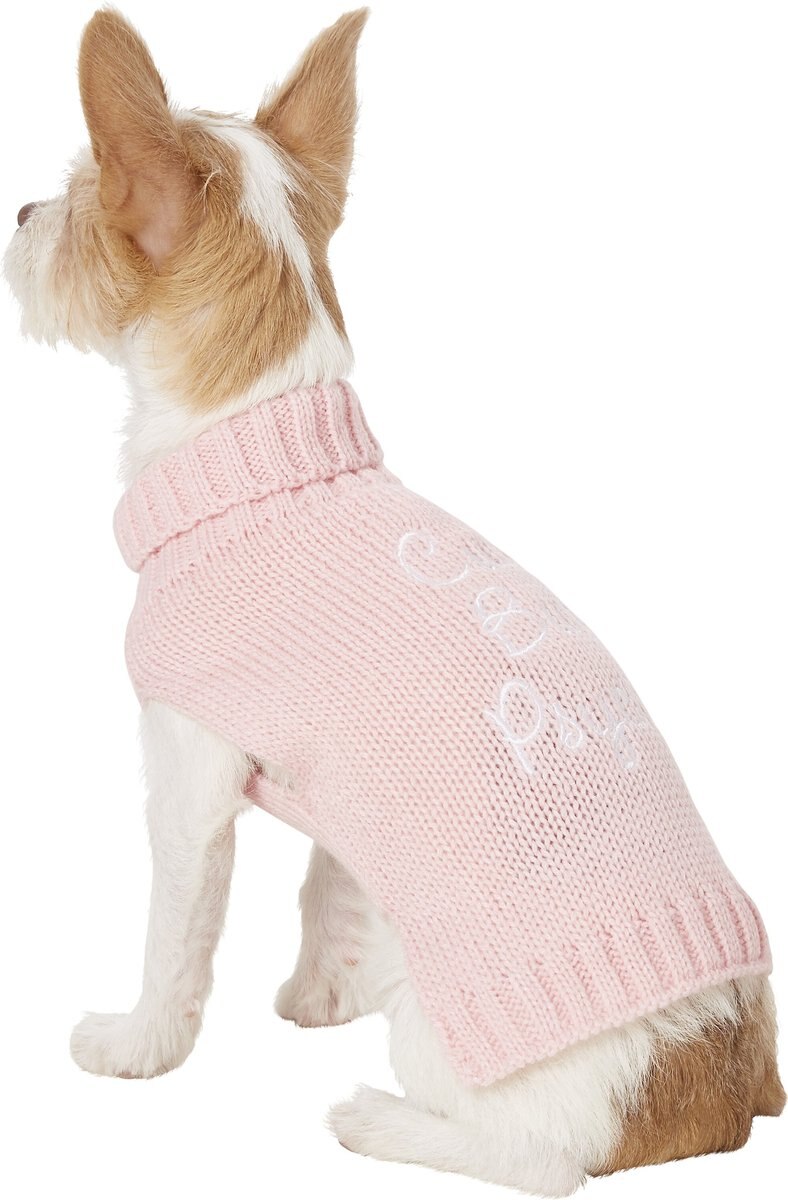 Pup crew sales dog sweaters