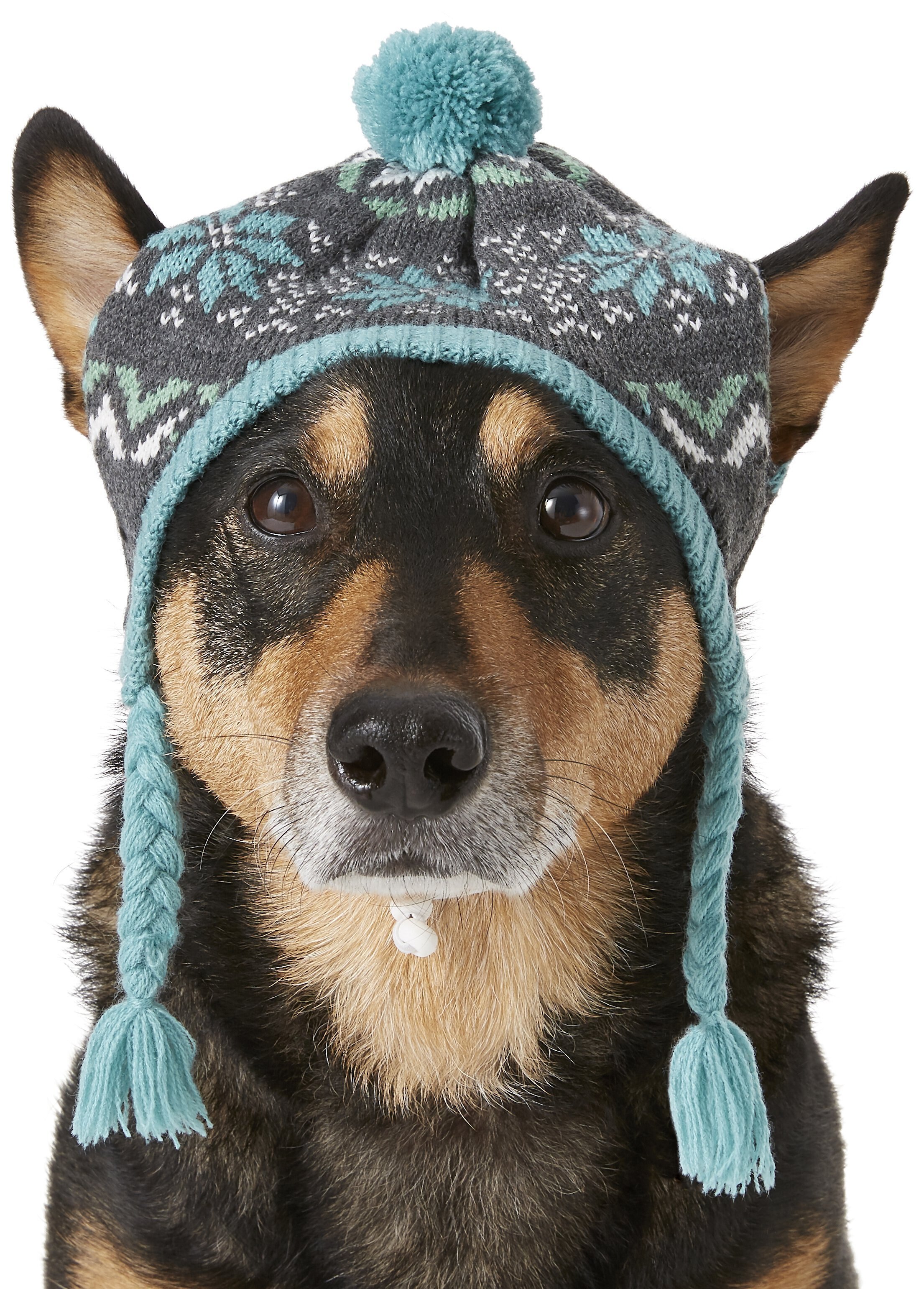 Pup crew dog hat hotsell