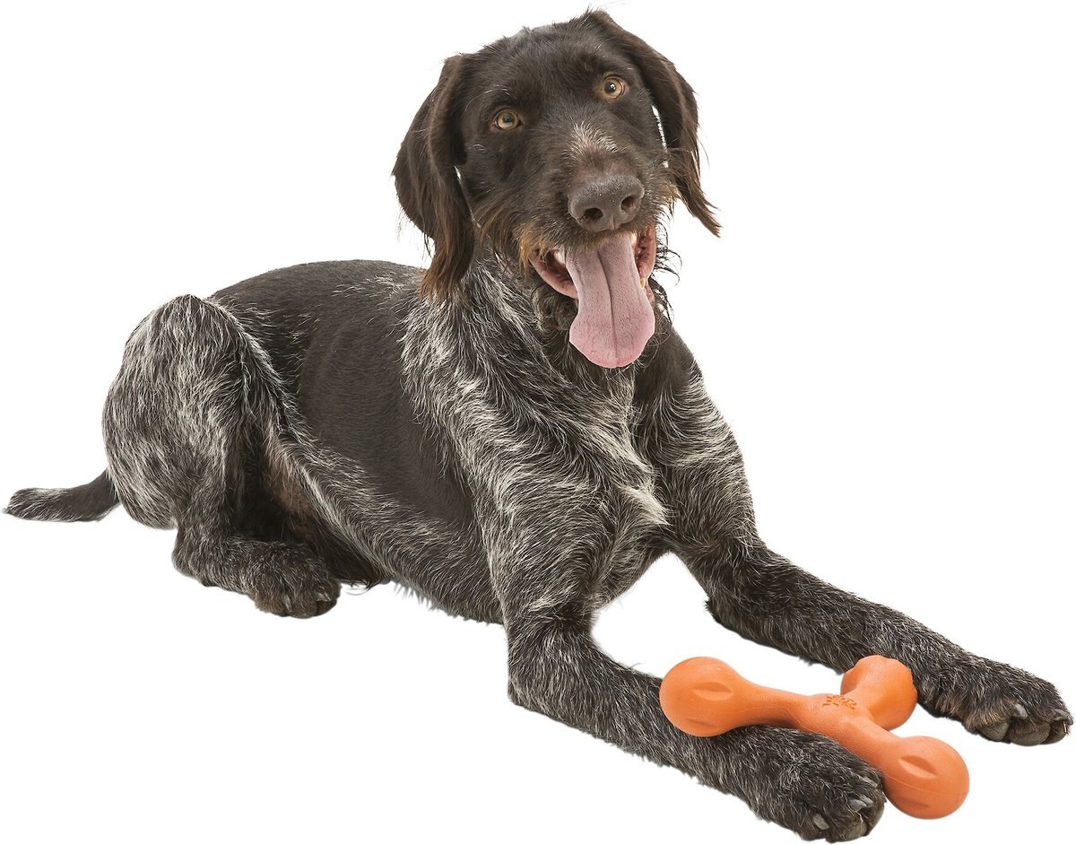 WEST PAW Skamp Fetch Dog Toy, Melon, Large - Chewy.com