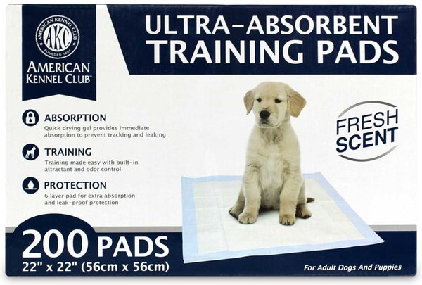 American Kennel Club AKC Dog Training Pads, 22 x 22-in, 200 count, Fresh Scented slide 1 of 9