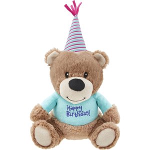 Frisco Birthday Bear Plush Squeaky Dog Toy, Medium