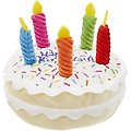 Frisco Birthday Cake Plush Squeaky Dog Toy, Medium