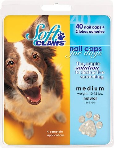 Soft Claws Nail Caps for Dogs, 40 count, XXX-Large, Clear slide 1 of 4