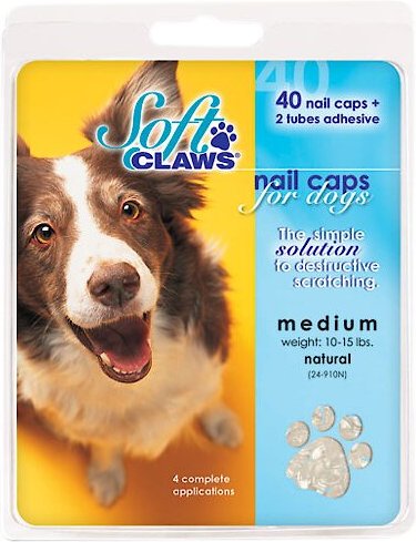 Soft Claws Nail Caps for Dogs, 40 count, Small, Clear slide 1 of 4