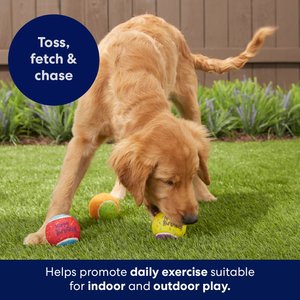 Frisco Birthday Fetch Squeaky Tennis Ball Dog Toy, Medium, 3 count