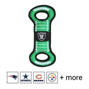Pets First NFL Field Dog Toy, Raiders