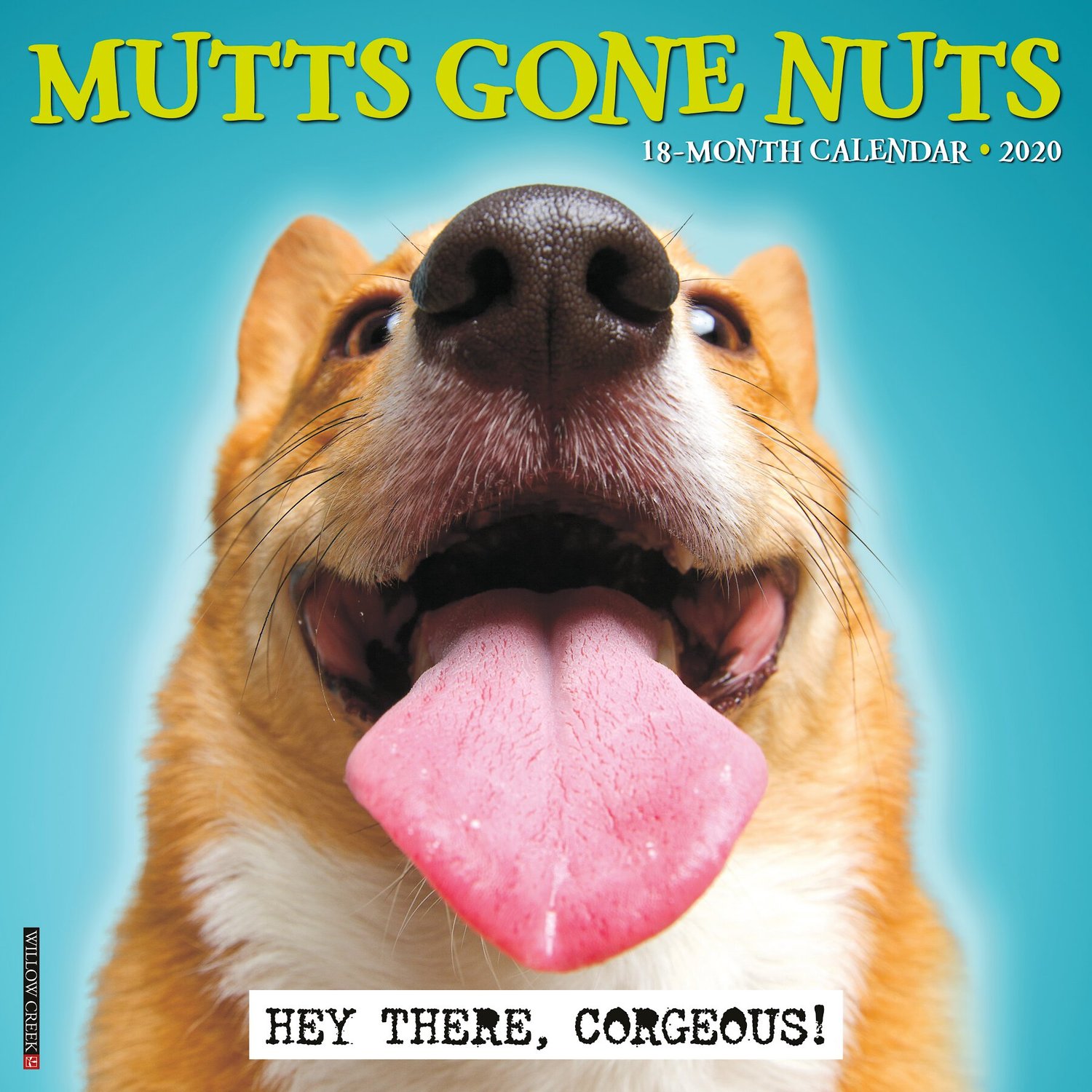Mutts Gone Nuts 2020 Wall Calendar