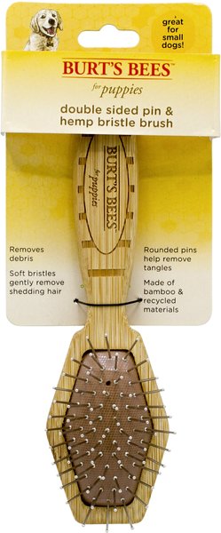 Burt's bees 2024 dog brush