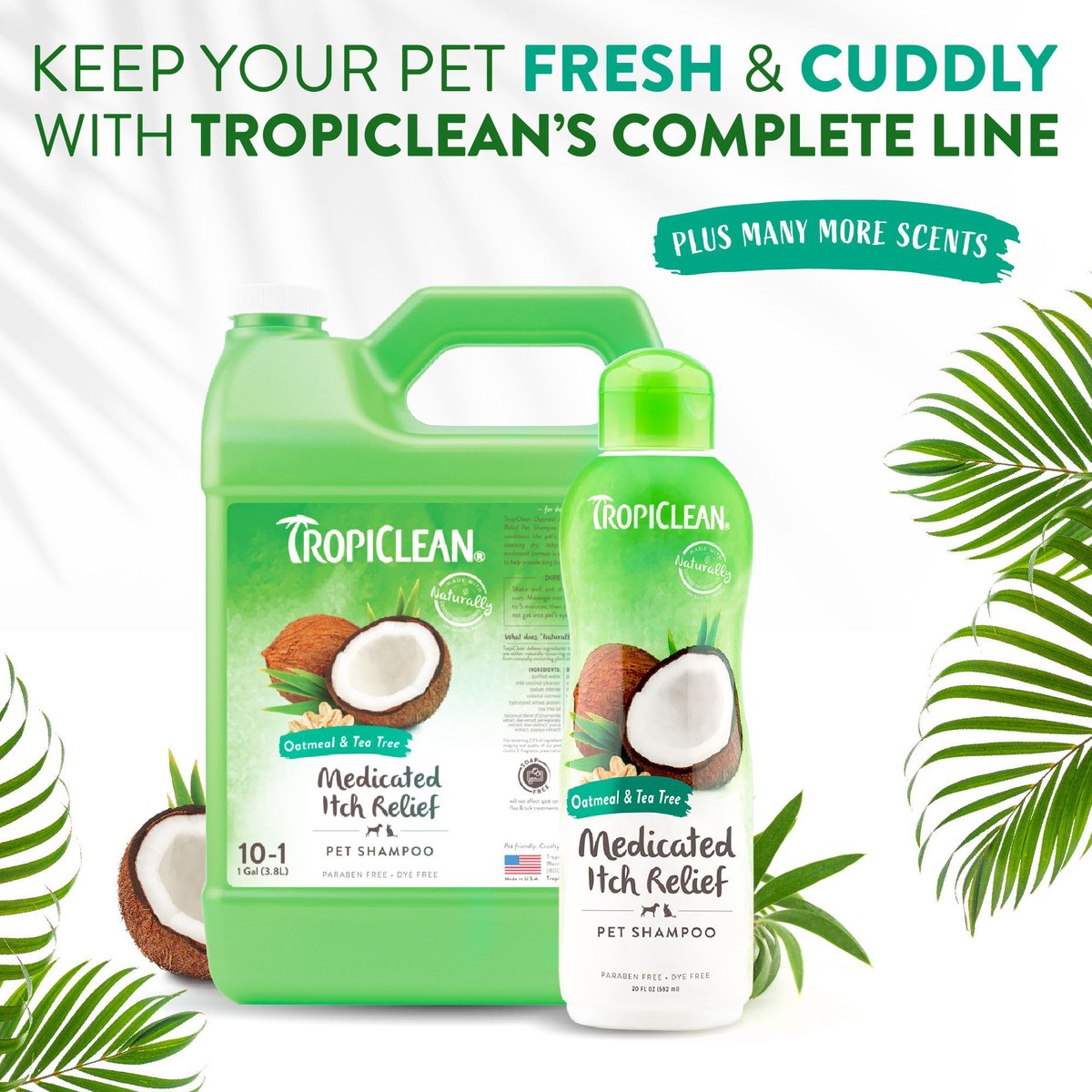 Tropiclean medicated oatmeal & tea hot sale tree shampoo