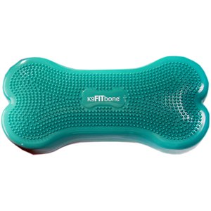 FITPAWS K9FITbone Dog Training Regular Balancing Bone, Aqua - Chewy.com