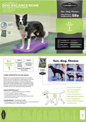 FitPAWS K9FITbone Dog Training Giant Balancing Bone, Turquoise slide 2 of 3