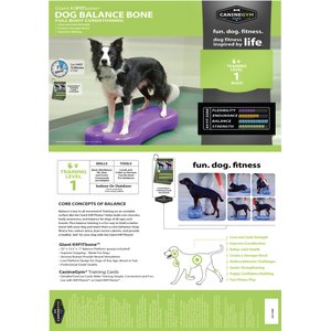 FitPAWS K9FITbone Dog Training Giant Balancing Bone, Turquoise