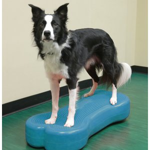 FitPAWS K9FITbone Dog Training Giant Balancing Bone, Turquoise