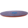 FitPAWS Dog Balancing Wobble Board, 20-in