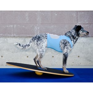 FitPAWS Dog Balancing Wobble Board, 36-in