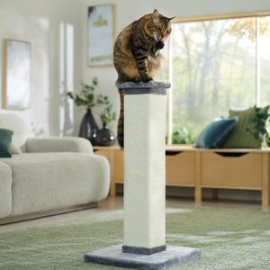 Cat on a scratching pole.