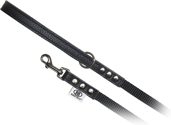Buddy Belts Accent Leather & Nylon Dog Leash, Premium Black, 4-ft long, 1/2-in wide slide 1 of 1