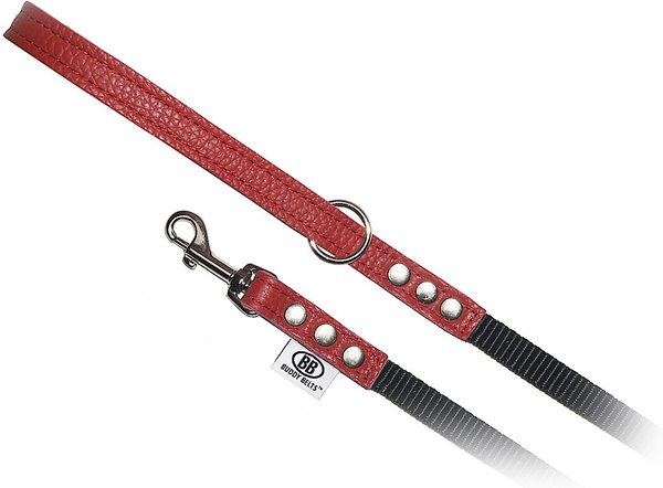Buddy Belts Accent Leather & Nylon Dog Leash, Premium Red, 4-ft long, 1/2-in wide slide 1 of 1