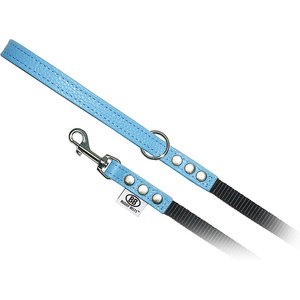 Buddy Belts Accent Leather & Nylon Dog Leash, Premium Blue, 4-ft long, 1/2-in wide
