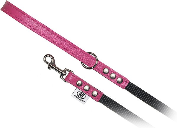 Buddy Belts Accent Leather & Nylon Dog Leash, Luxury Hot Pink, 4-ft long, 1/2-in wide slide 1 of 1